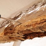 Diagnostics et expertise - Lutte contre les Termites